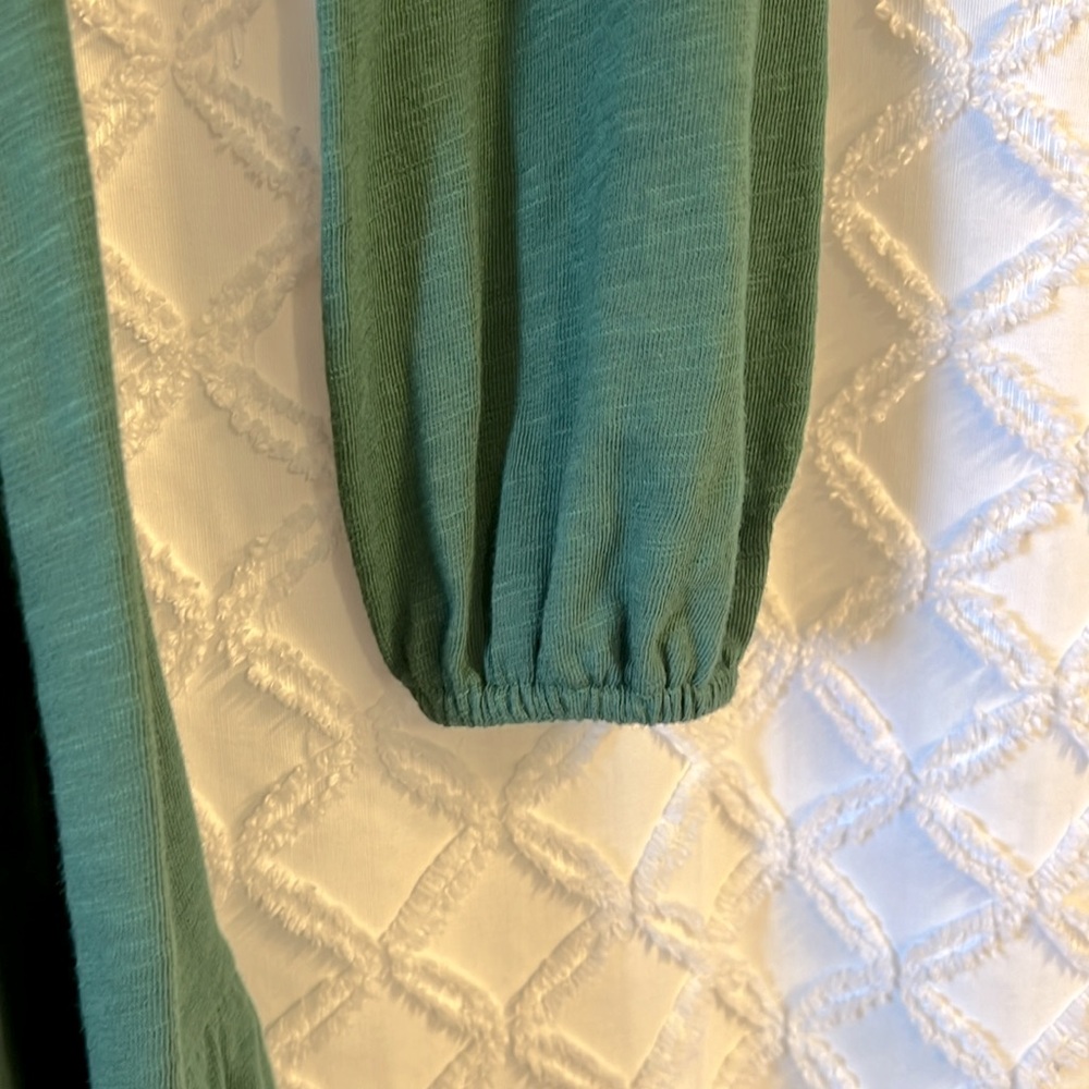 LOFT Snap Front Ruffle Dress - Picture 3 of 6